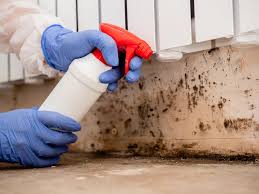 Best Commercial Mold Inspection  in USA